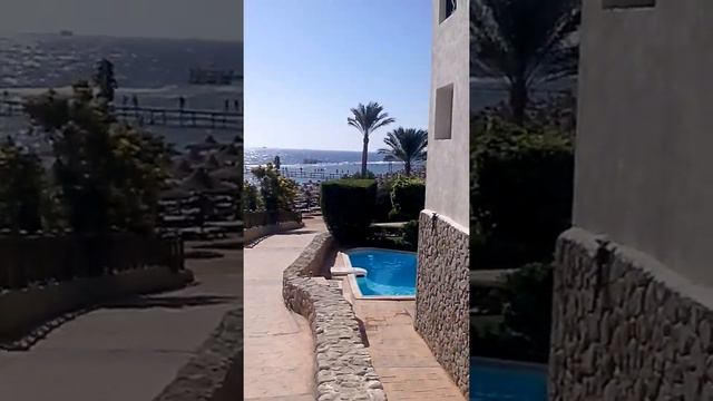 Rehana Sharm Resort 4* Beach