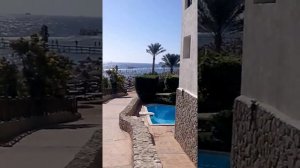 Rehana Sharm Resort 4* beach