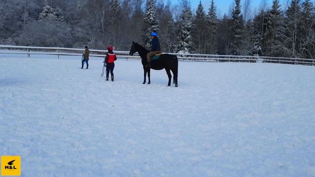 Катание на лошадях в Москве. Конно-туристическая база Ольгино смотреть онлайн