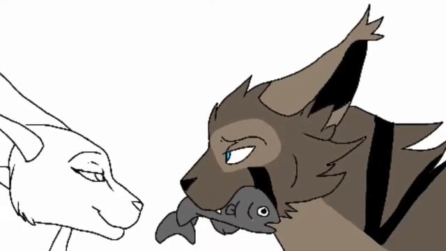 Ищу пару кошку