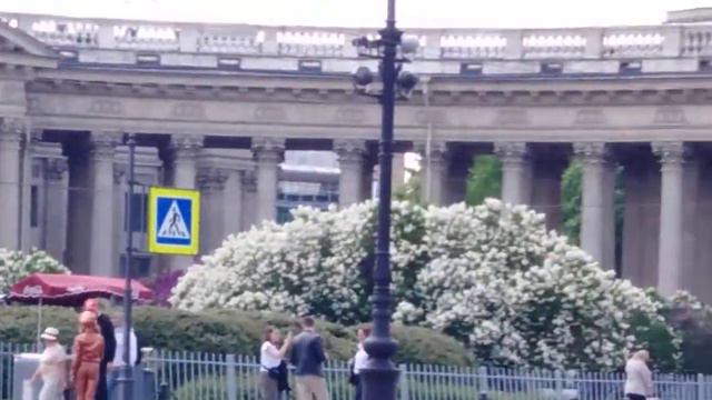 Казанский собор на Невском, смотреть онлайн