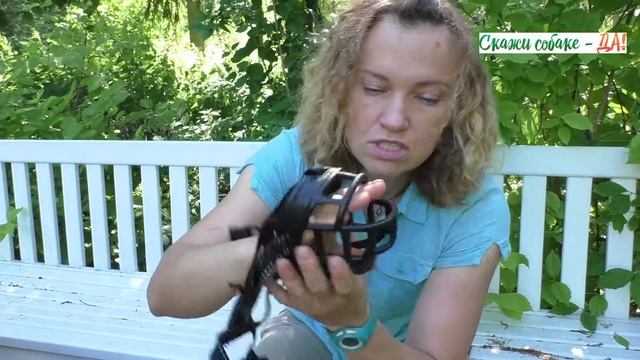 Как выбрать намордник? смотреть онлайн