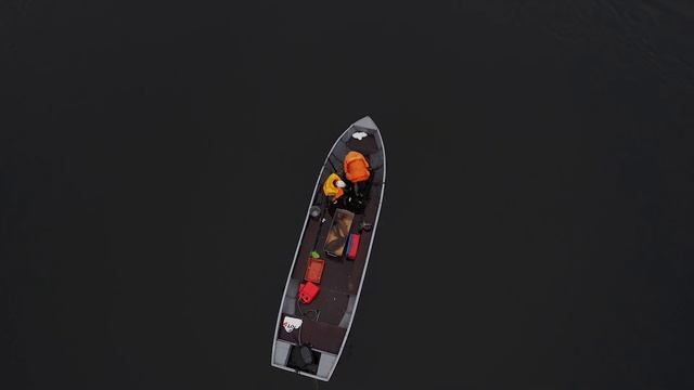 Отлов лосося для Невского рыбоводного завода // Bridge for Salmon смотреть онлайн