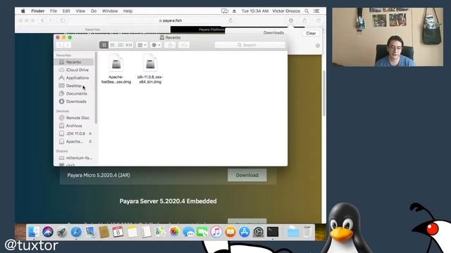 Instalación de Java 11, NetBeans 12 y Payara 5 en MacOS смотреть онлайн