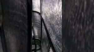 УАЗ 469 давление масла на холодную
