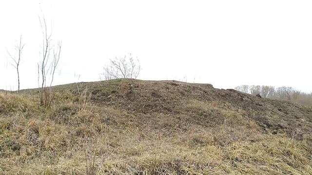 В поисках бобра смотреть онлайн