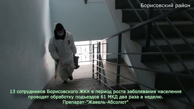Санитарная обработка подъездов МКД в Борисовском районе смотреть онлайн