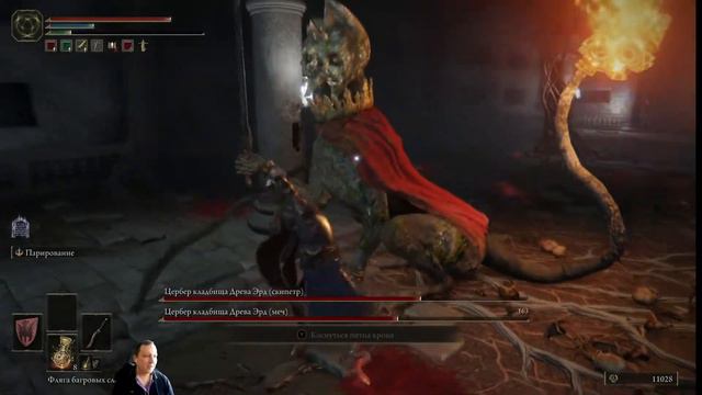 СРАЗУ ДВА ЦЕРБЕРА ДРЕВА ЭРД | ELDEN RING
