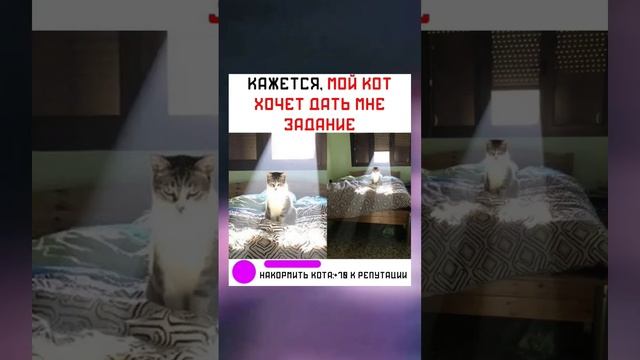 #short #shorts #мем #мемы #прикол #юмор #funny (40) смотреть онлайн