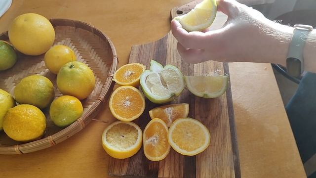 Дегустация.  Апельсин Моро, лиметта Дольче Романа, апельсин Фрагола