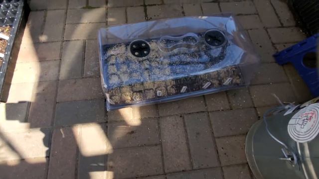 Sowing Seeds In The Greenhouse (Tomatoes, Peppers, And Flowers) | Zone 6 Gardening