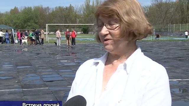 В Крыму прошла выставка редких пород собак смотреть онлайн