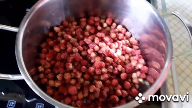 Руководство к Творчеству