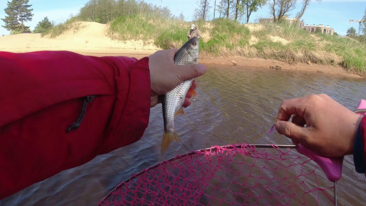 #471 #мормышинг | Микро речка | Нашли ЖИРНУЮ ПЛОТВУ | смотреть онлайн