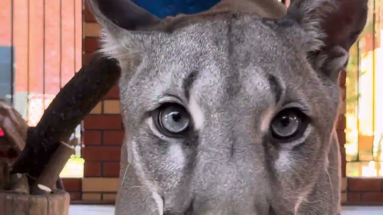 An ordinary day for baby Braige))