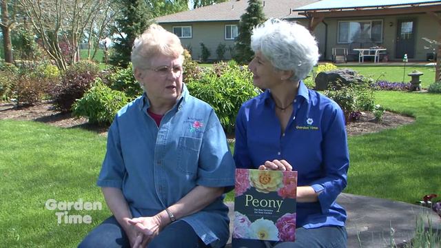 Adelman Peony book смотреть онлайн