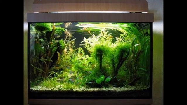 Светодиодное освещение аквариума своими руками смотреть онлайн