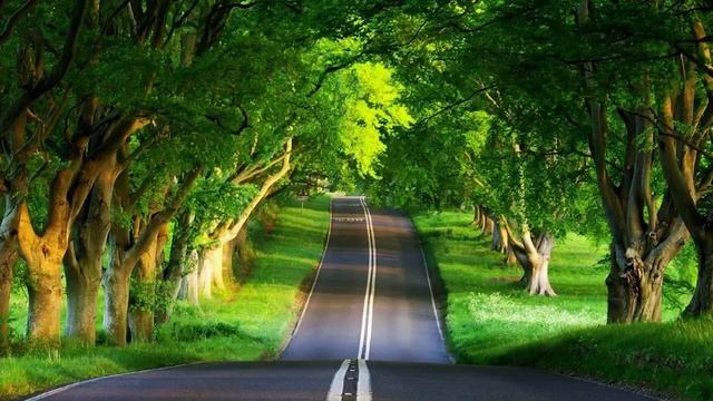 Музыка нервы расслабляющая гитарная музыка со временем отснятого материала смотреть онлайн