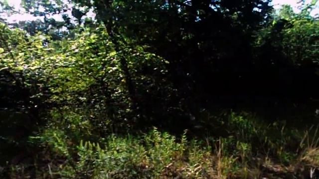 САМВЕЛ АДАМЯН СЕСТРА ОТКАЗАЛАСЬ ОТ МАТЕРИ. GRANDENIKO БОИТСЯ ПОТЕРЯТЬ САМВЕЛА