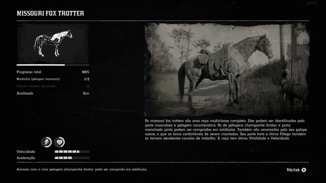 O MELHOR cavalo do Red Dead 2! Como Pegar o Missouri Fox Trotter смотреть онлайн