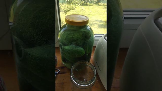 лень-двигатель. прогресса.... смотреть онлайн