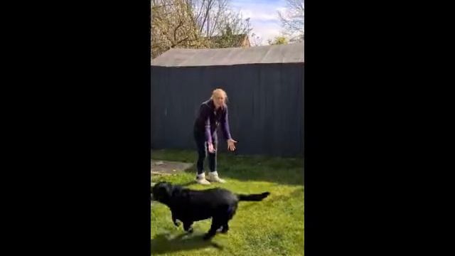 Seadogs toilet roll challenge with a difference смотреть онлайн