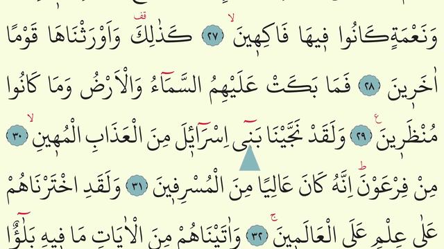 Duhan Suresi Hızlı Okuma | Ok Takipli | Bilgisayar Hattı | İsmail Damar | 4K