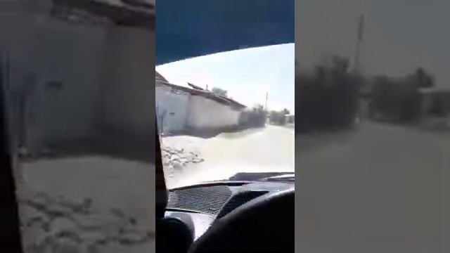 Учхоз Ташкент