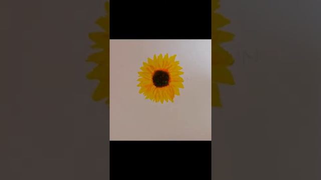 How to draw a Simple Sunflower using MARKER? | Artistry Mystery смотреть онлайн
