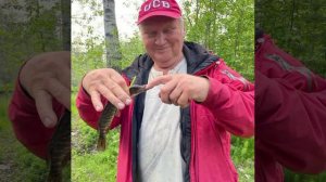 А лето цвета неба...