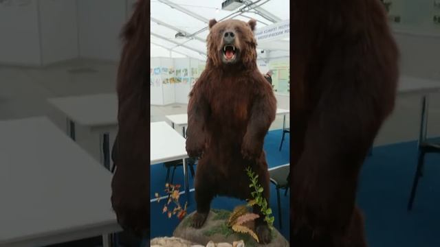 Выставка охота рыбалка в Казани 2020 смотреть онлайн