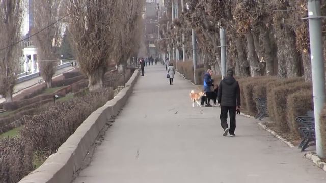 Полиция Саратова напомнила жителям о режиме самоизоляции смотреть онлайн