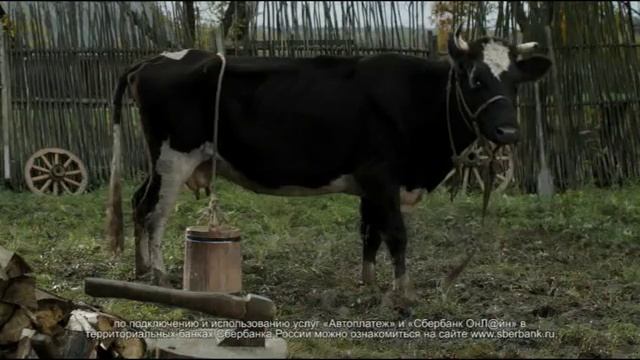 Автоплатеж | Банкомат смотреть онлайн