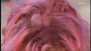 Доктор прыщик 5 сезон 21 серия