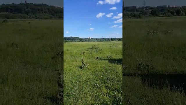 ВЫПУСКАЕМ РАКОВ В КАЛУЖСКОЕ ВОДОХРАНИЛИЩЕ ЧАСТЬ 2 ! РАКИ В КАЖДЫЙ ВОДОЕМ ! МНОГО РАКОВ ! смотреть онлайн