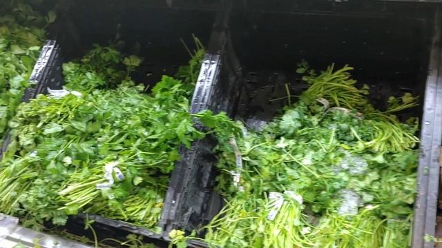 Закупка в Freestone.Супер цены на еду в Канаде. Канада иммиграция смотреть онлайн