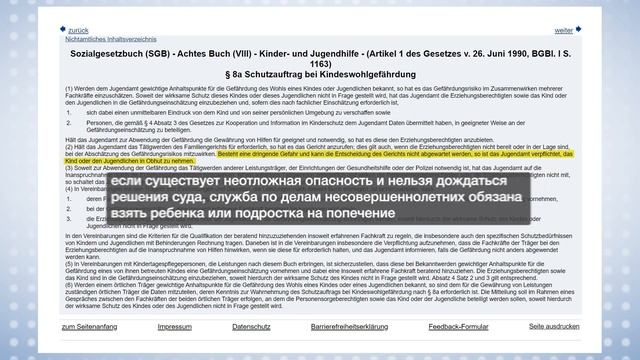 В Германии Jugendamt ОТБИРАЕТ детей у родителей. Какие основания смотреть онлайн