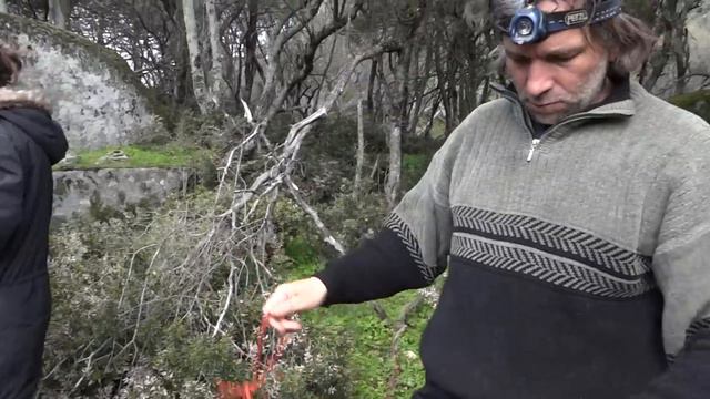 Божествена флейта на Ранули смотреть онлайн