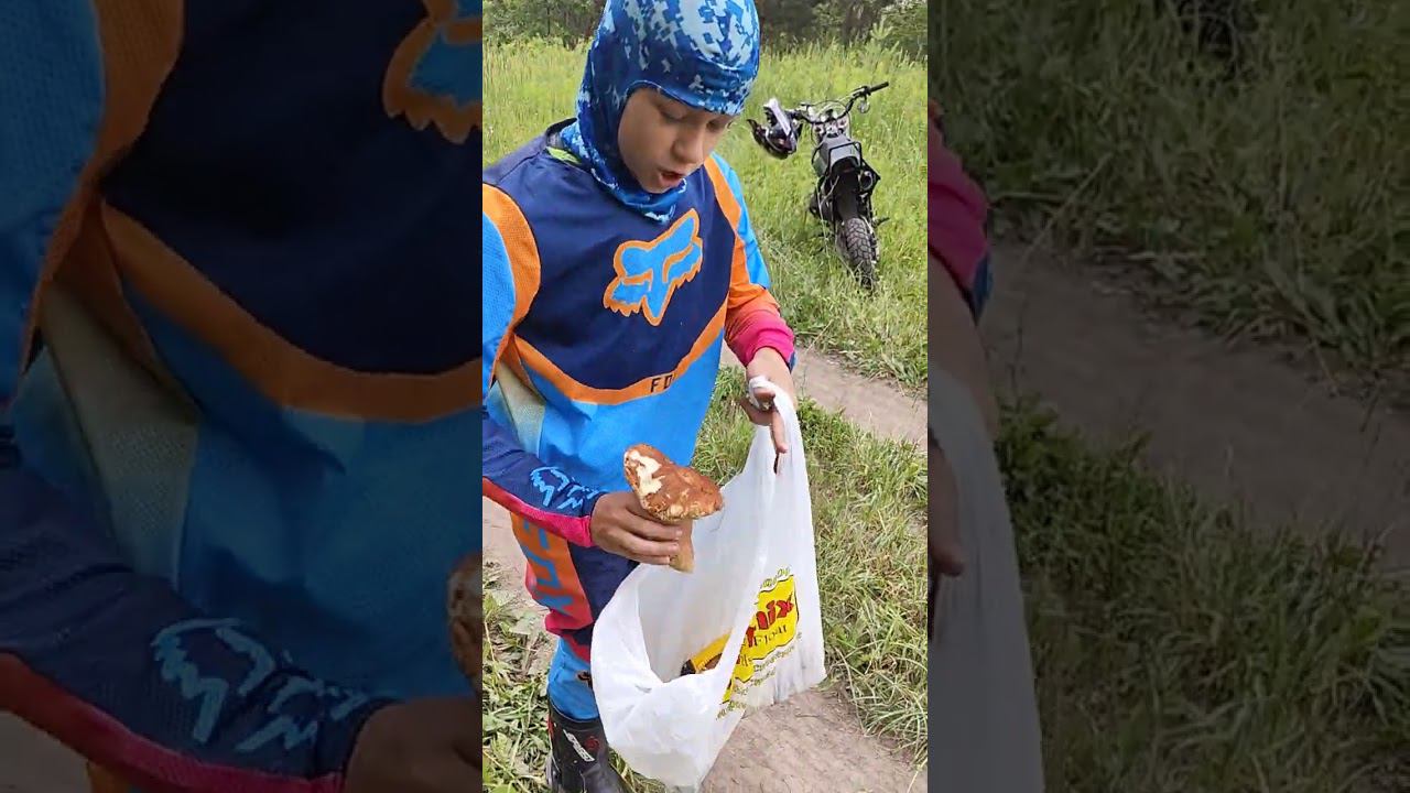 Сезон ГРИБАЛКИ открыт #рыбалка #грибы #грибалка #сборгрибов #егоррыбак #fishing #top #viralshorts смотреть онлайн