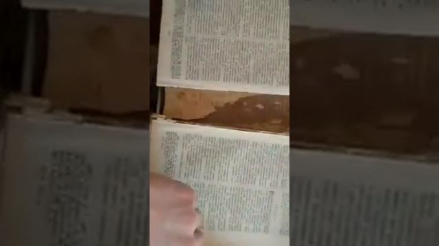 Имя бога в библии смотреть онлайн