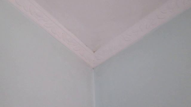 Пліснява в квартирі смотреть онлайн