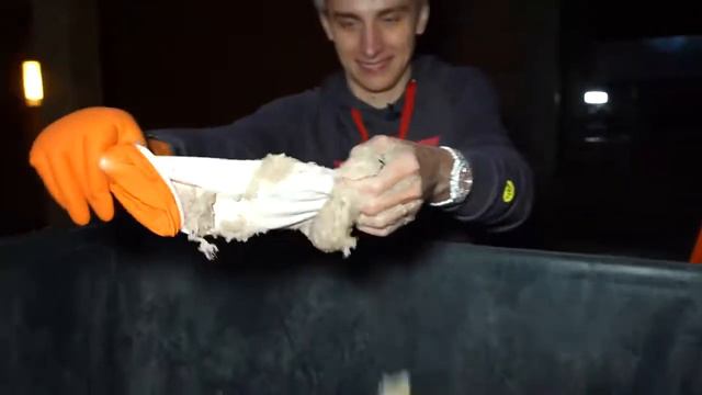 Кто Последний Скажет НЕТ , Получить 1000$ смотреть онлайн