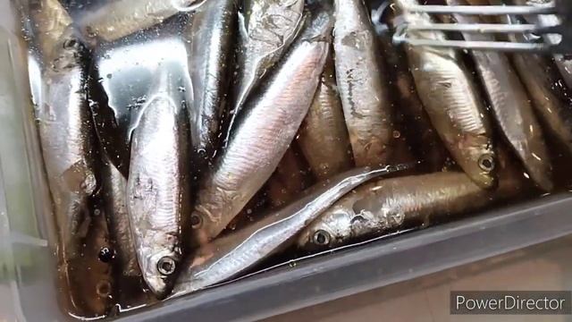 Славянск 12.11.22. Готовим вкусно и экономим. Опыт выживания. Килька. смотреть онлайн