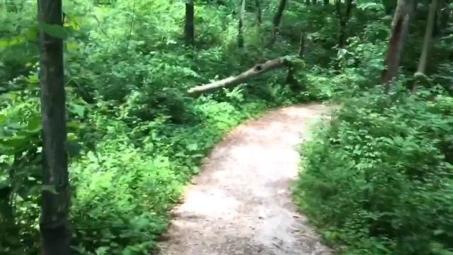 В ЭТОМ ПАРКЕ МУЖУ С НЕБА УПАЛА ЖЕНА _ нашла виноград собрала травы смотреть онлайн