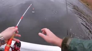 Ловим  леща  осенью  на подпуск