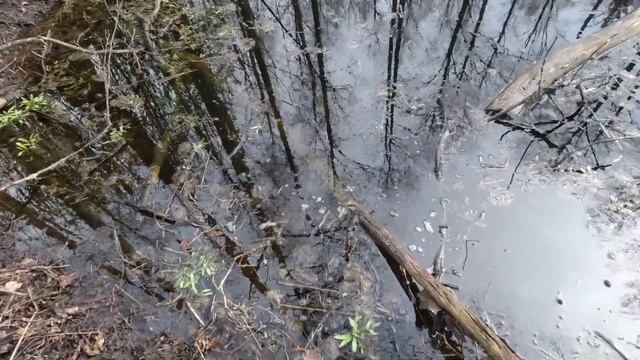 КОП!СТАРАЯ ДЕРЕВНЯ 1800-х ГОДОВ!!! смотреть онлайн