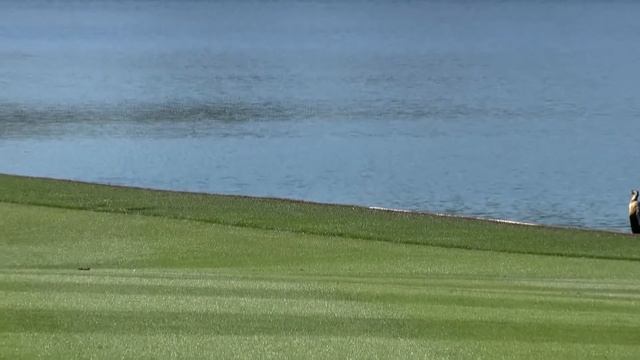 Golf is Hard | THE PLAYERS (all-time edition) смотреть онлайн