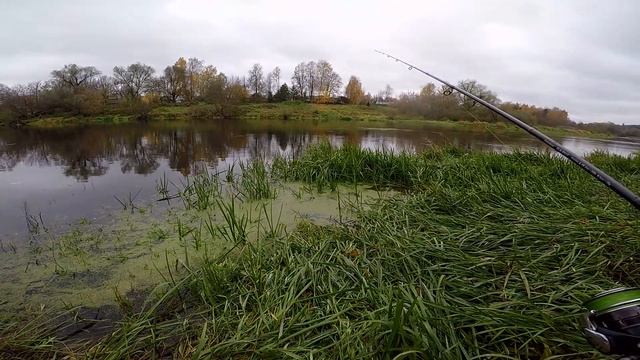 Раз в год и Москва река стреляет! Окуни горбачи на верхней Москва реке! смотреть онлайн