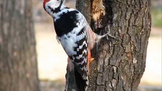 bukva d смотреть онлайн