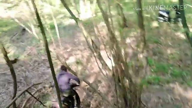 Пакатушки по лісу смотреть онлайн